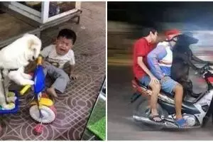 10 Potret lucu hewan peliharaan 'jadi bos' ini bikin tepuk jidat