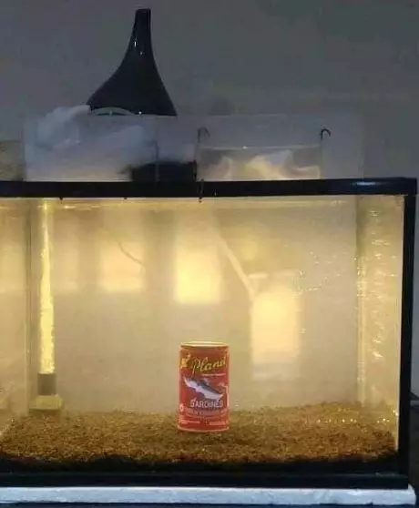 10 Trik kocak bikin rumah jadi mewah bermodal tipis istimewa 10 Trik kocak bikin rumah jadi mewah bermodal tipis istimewa