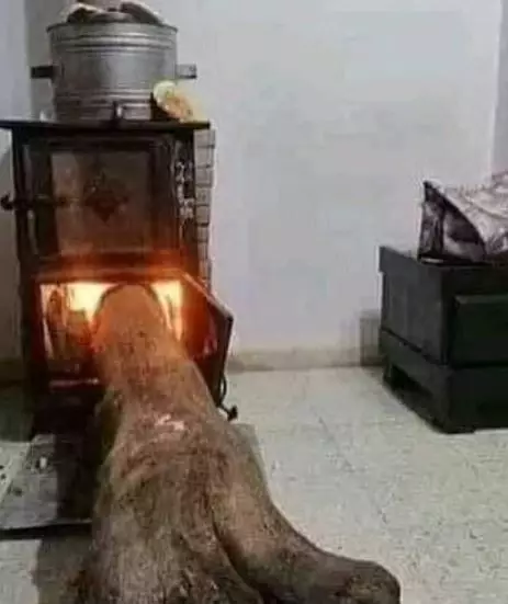 10 Trik kocak bikin rumah jadi mewah bermodal tipis istimewa 10 Trik kocak bikin rumah jadi mewah bermodal tipis istimewa