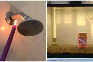 10 Cara nyeleneh bikin perabotan rumah, modal tipis dan seadanya