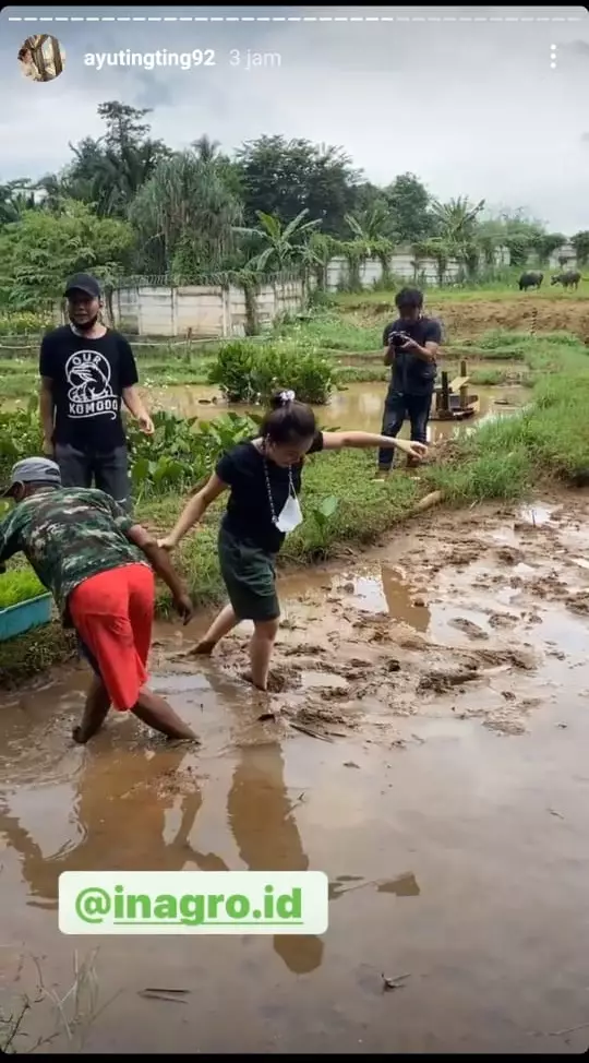 Ayu Ting Ting bertani © Instagram