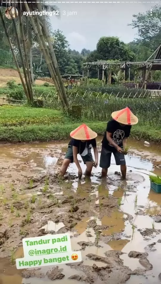 Ayu Ting Ting bertani © Instagram