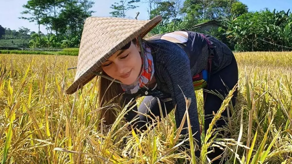 Momen seleb saat bertani Instagram Momen seleb saat bertani Instagram