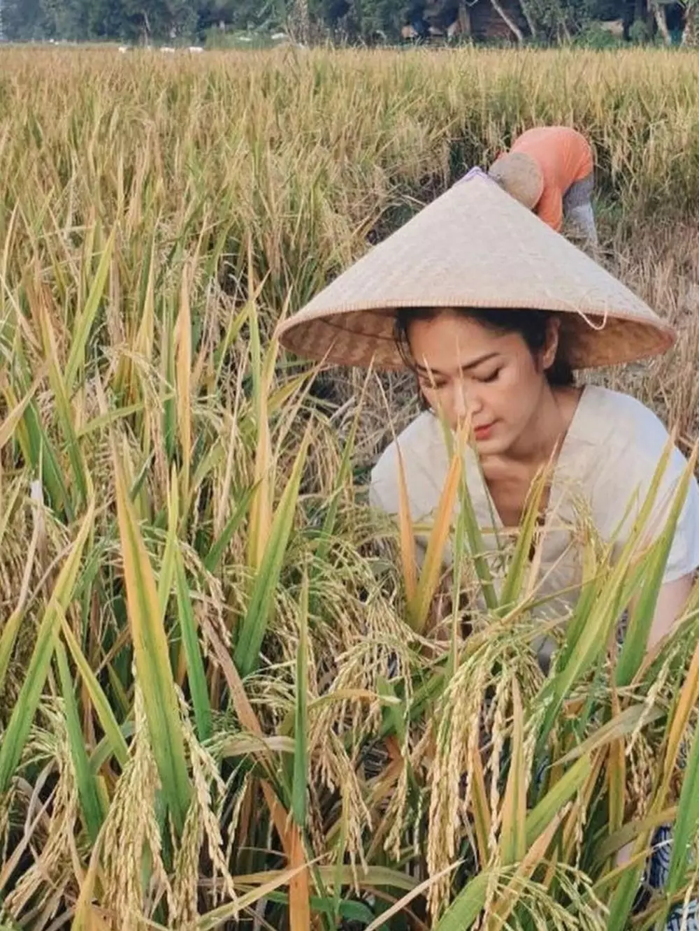 Momen seleb saat bertani Instagram Momen seleb saat bertani Instagram