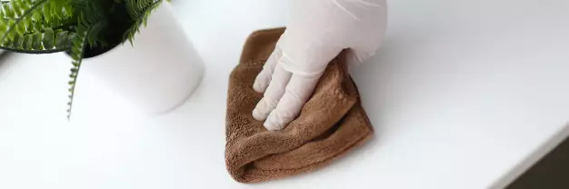 Cara merawat aglonema silver queen © freepik.com