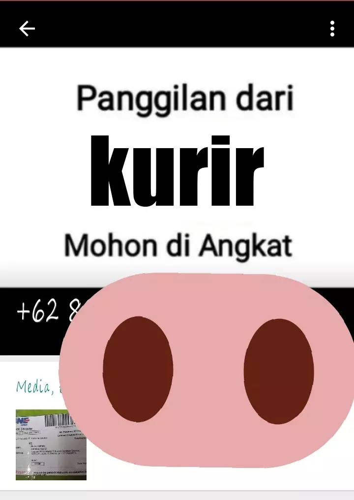 Foto profil kurir di WhatsApp © berbagai sumber