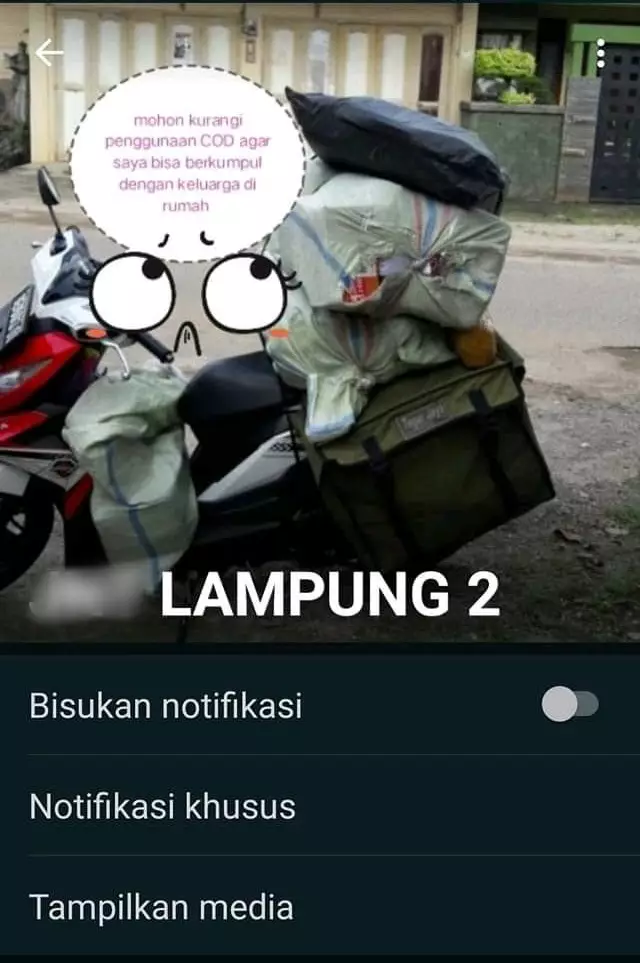 Foto profil kurir di WhatsApp © berbagai sumber