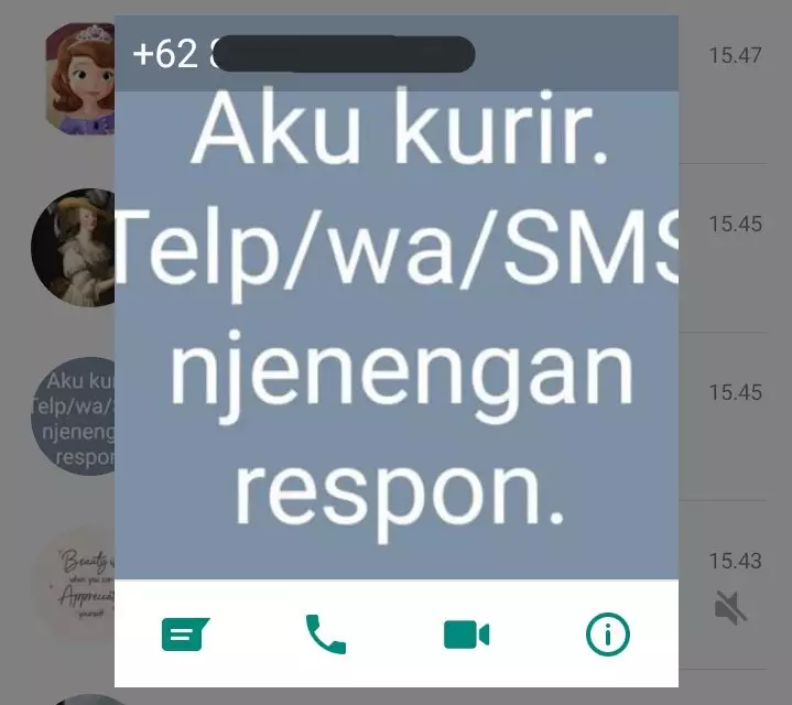 Foto profil kurir di WhatsApp © berbagai sumber