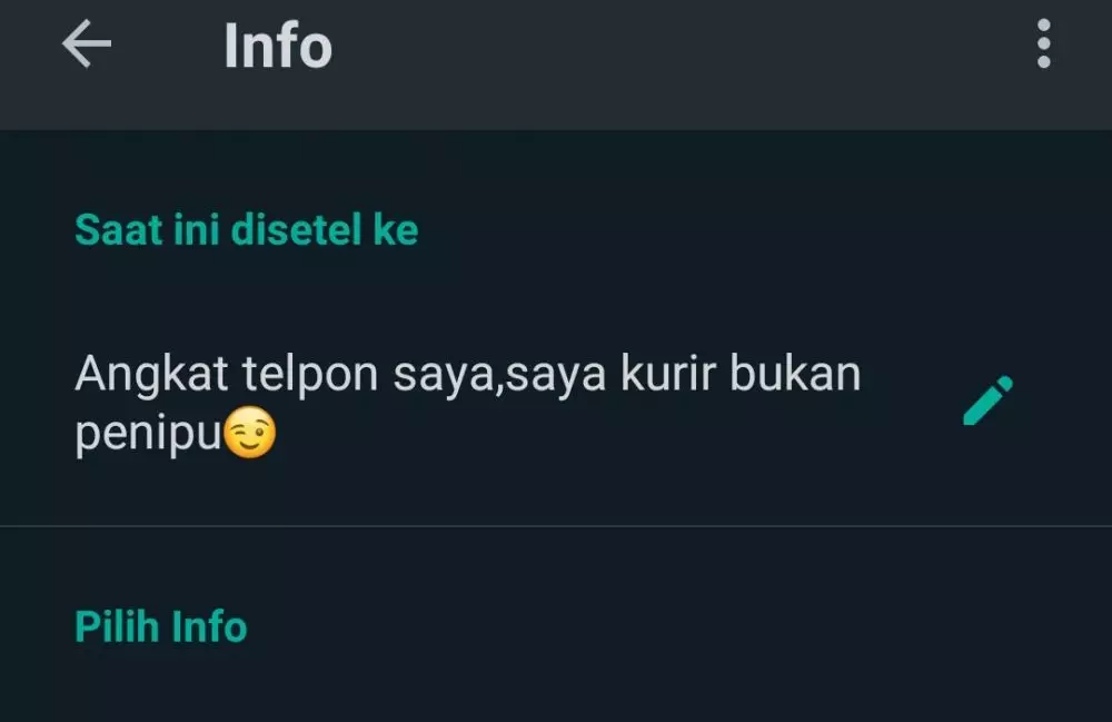 Foto profil kurir di WhatsApp © berbagai sumber