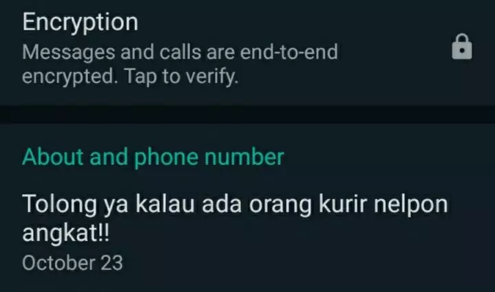 Foto profil kurir di WhatsApp © berbagai sumber