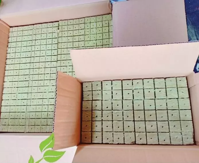 Cara menanam tanaman hidroponik rockwool freepik ;  Instagram ; pixabay  © 2021 brilio.net Cara menanam tanaman hidroponik rockwool freepik ;  Instagram ; pixabay  © 2021 brilio.net