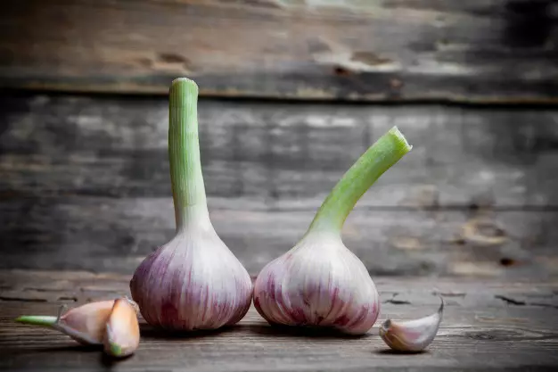 Cara menanam hidroponik bawang putih Instagram ; freepik © 2021 brilio.net