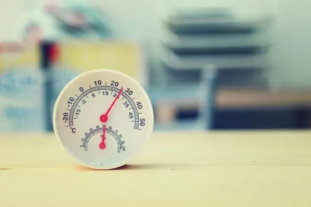 Cara merawat aglonema emerald beauty © Istimewa Cara merawat aglonema emerald beauty © Istimewa