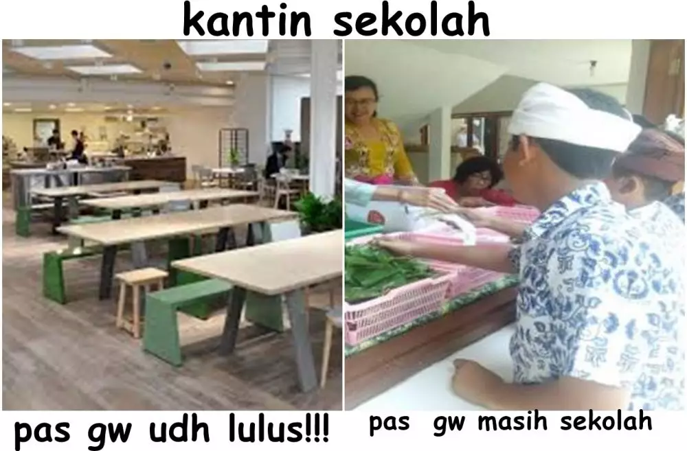 meme derita setelah lulus Berbagai sumber meme derita setelah lulus Berbagai sumber