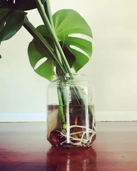 hias gantung botol bekas © Instagram hias gantung botol bekas © Instagram