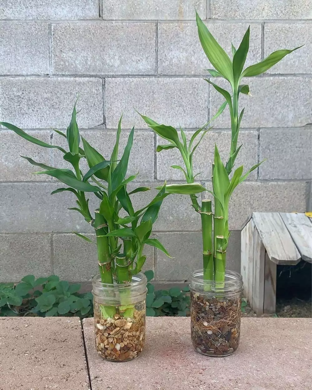 hias gantung botol bekas © Instagram hias gantung botol bekas © Instagram