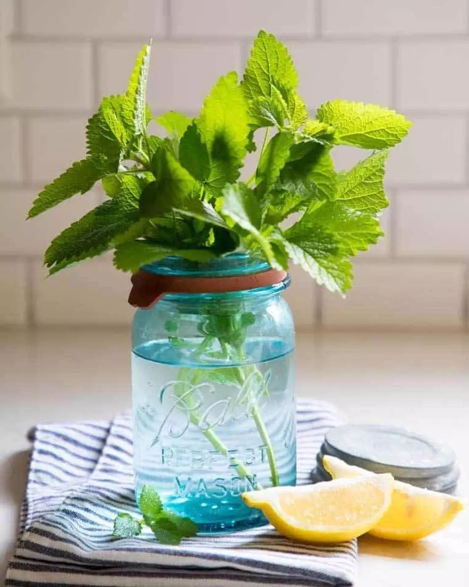 hias gantung botol bekas © Instagram hias gantung botol bekas © Instagram