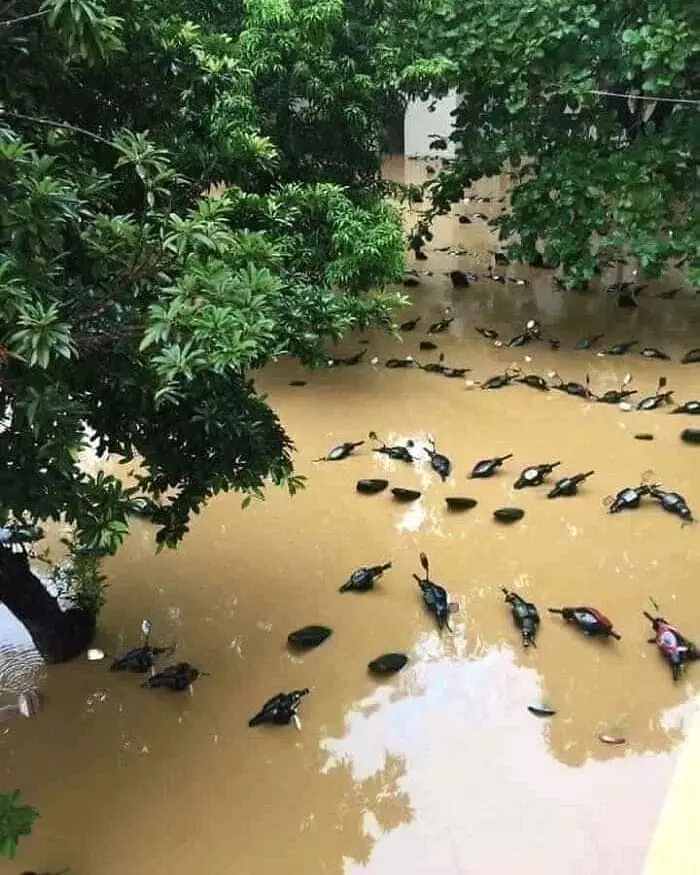 momen ngenes sakit tak berdarah © Berbagai Sumber