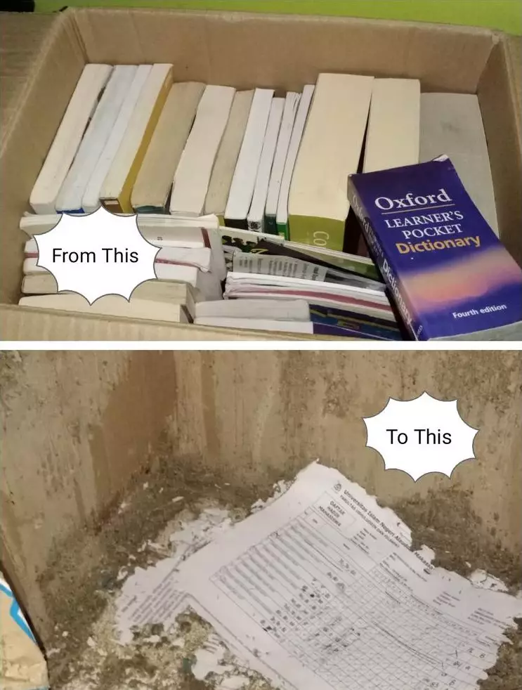 momen ngenes sakit tak berdarah © Berbagai Sumber