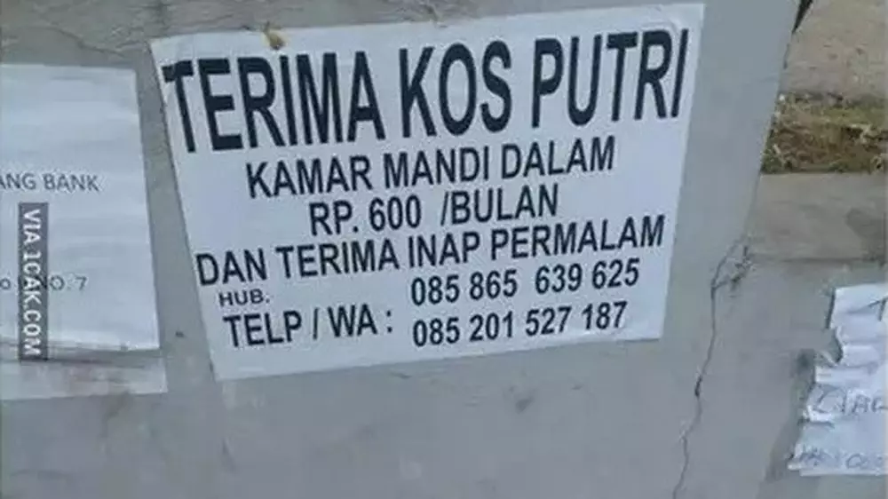 iklan kos putri absurd Berbagai sumber iklan kos putri absurd Berbagai sumber
