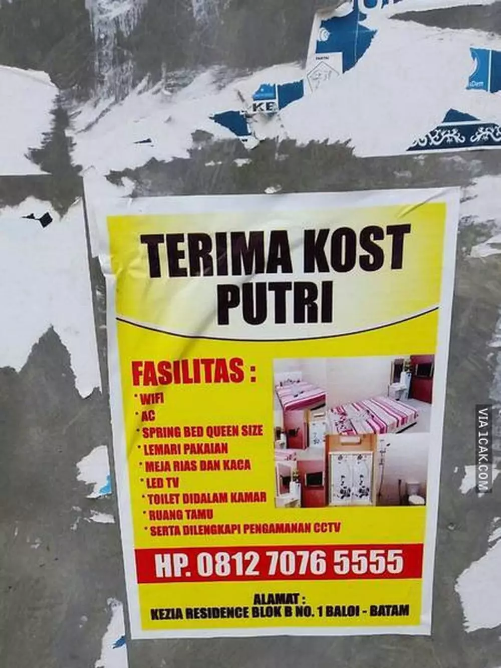 iklan kos putri absurd Berbagai sumber iklan kos putri absurd Berbagai sumber