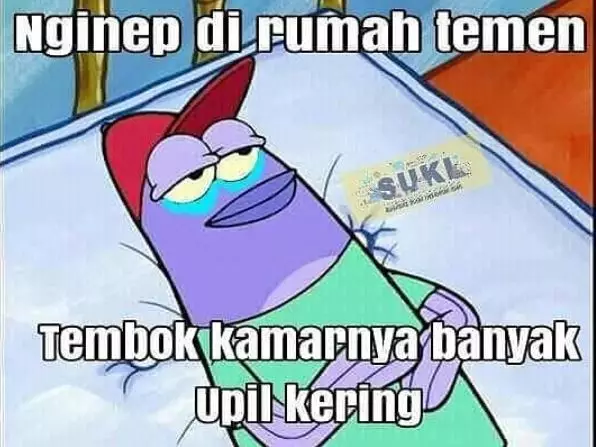 meme momen apes nginap rumah teman Berbagai sumber