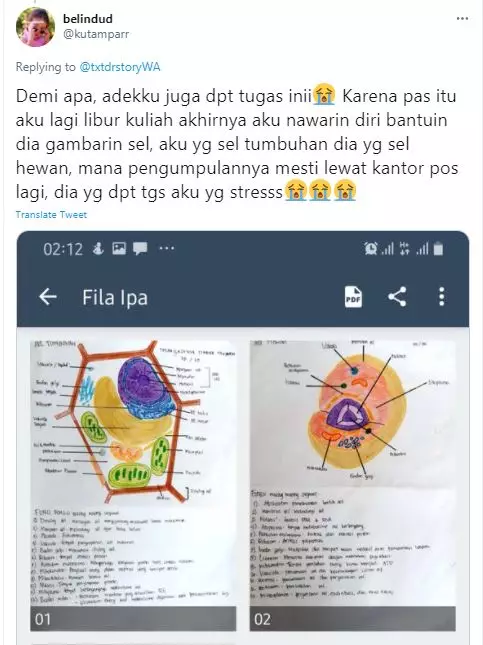 lika liku nugas sekolah online © Twitter lika liku nugas sekolah online © Twitter