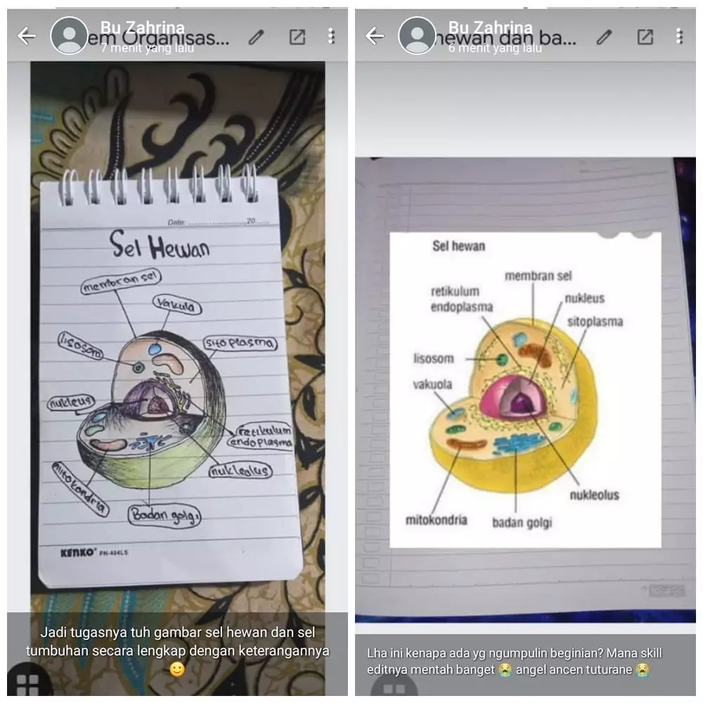 lika liku nugas sekolah online © Twitter lika liku nugas sekolah online © Twitter