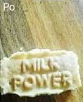 cara antimainstream makan biskuit © Berbagai Sumber