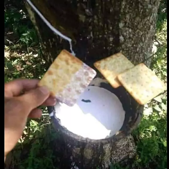 cara antimainstream makan biskuit © Berbagai Sumber