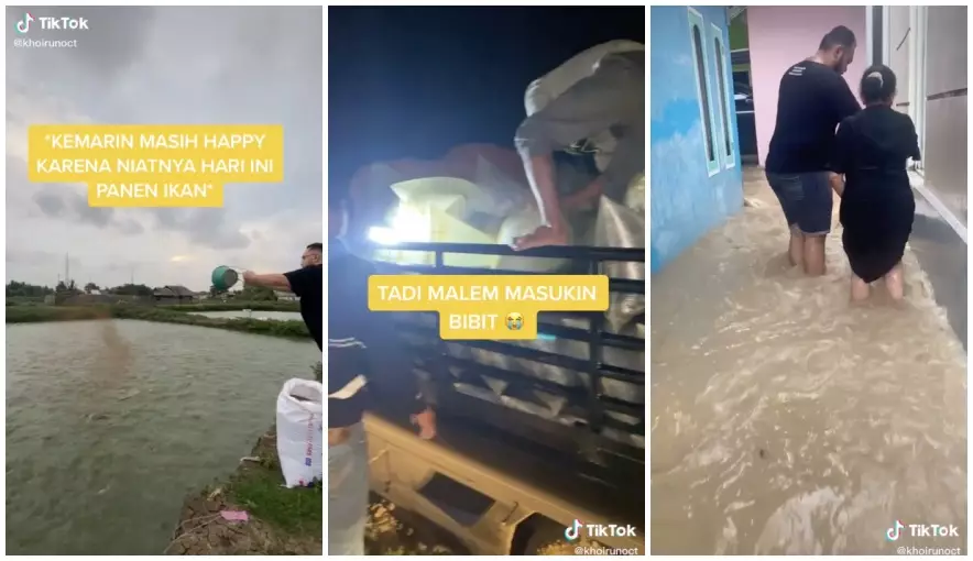 gagal panen karena banjir © TikTok