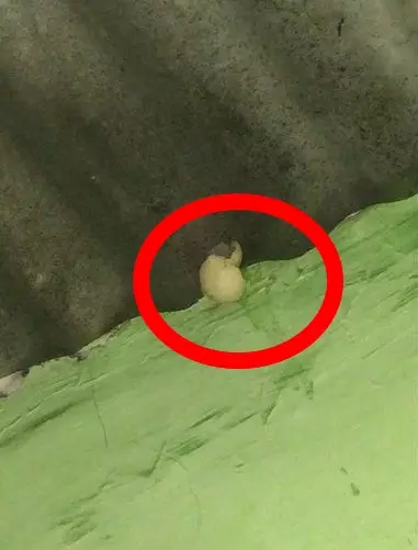 momen absurd menggoreng cimol Berbagai sumber momen absurd menggoreng cimol Berbagai sumber