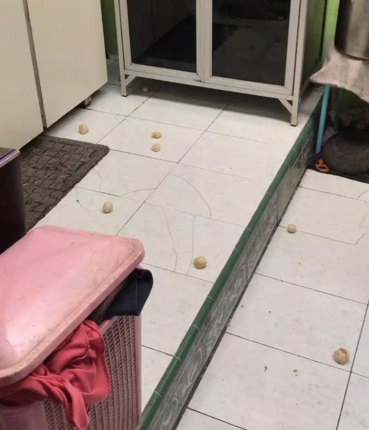 momen absurd menggoreng cimol Berbagai sumber momen absurd menggoreng cimol Berbagai sumber