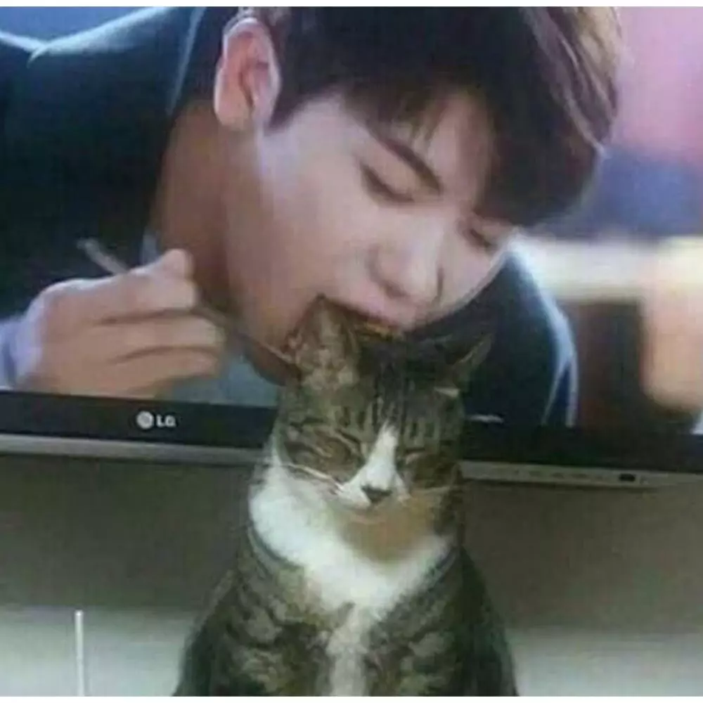 10 Potret lucu momen pas kucing dengan benda sekitar bikin cekikikan © 2020 brilio.net 10 Potret lucu momen pas kucing dengan benda sekitar bikin cekikikan © 2020 brilio.net