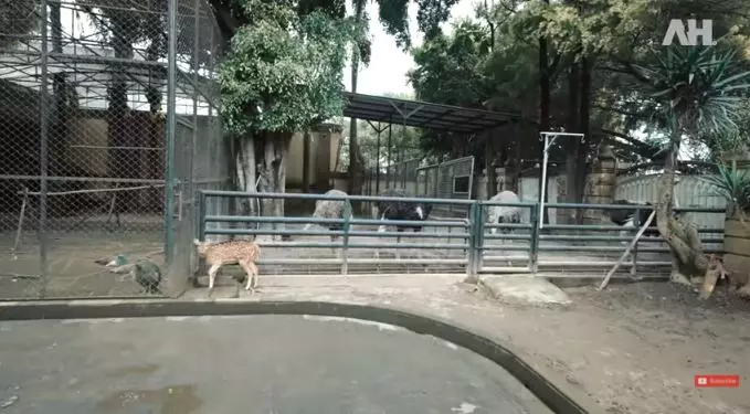 rumah Alshad Ahmad © 2021 brilio.net