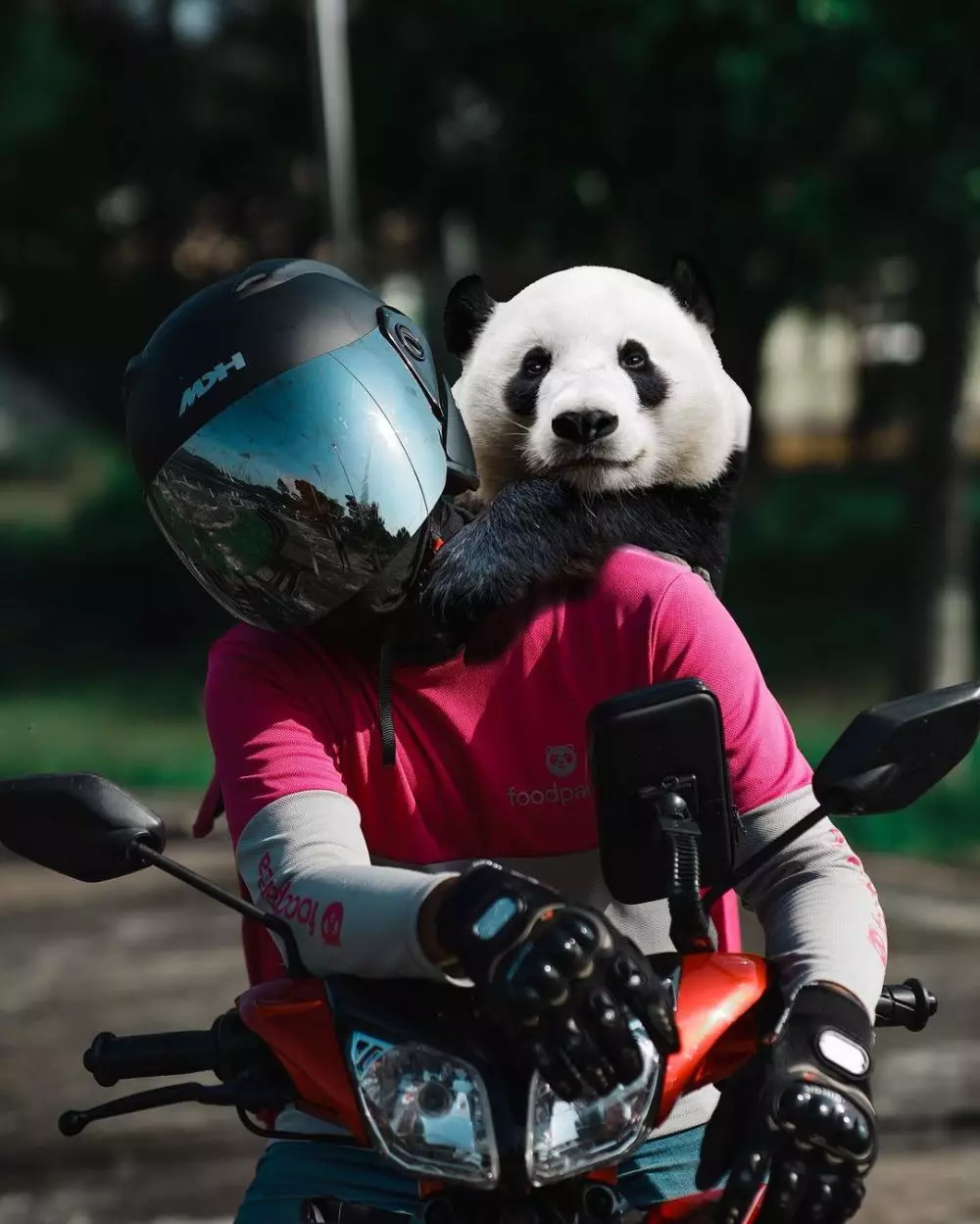 pria ajak panda berkeliling © 2021 brilio.net