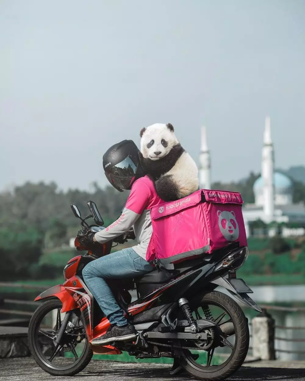 pria ajak panda berkeliling © 2021 brilio.net