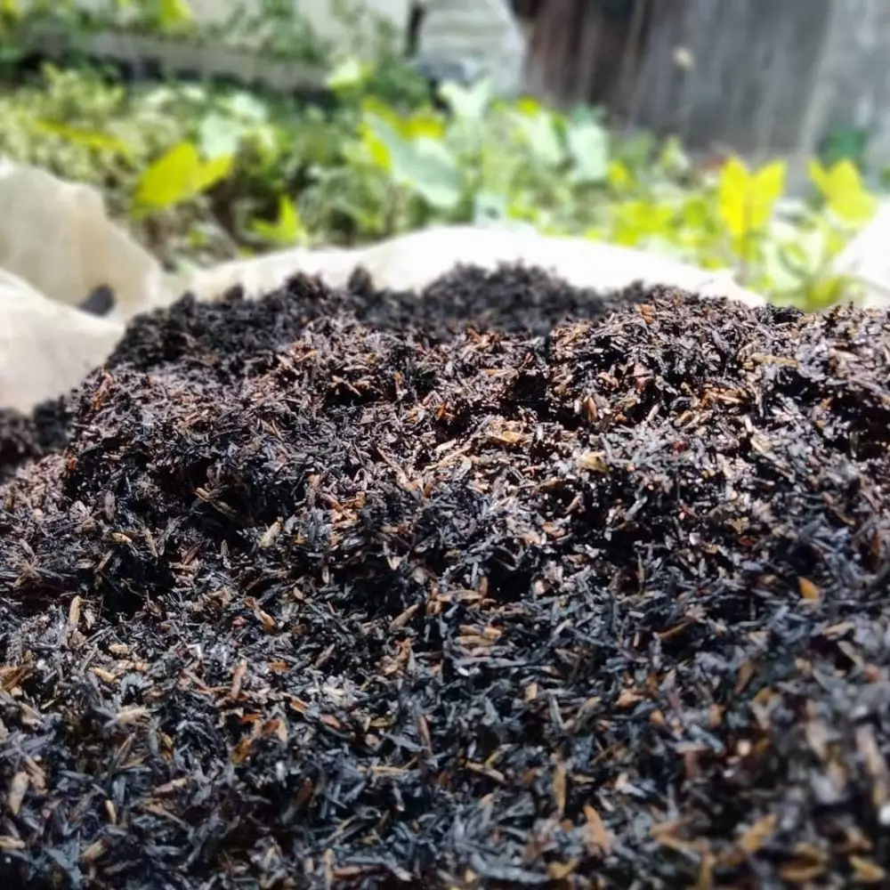 Media tanam hidroponik organik dan anorganik Intagram ; freepik © 2021 brilio.net Media tanam hidroponik organik dan anorganik Intagram ; freepik © 2021 brilio.net