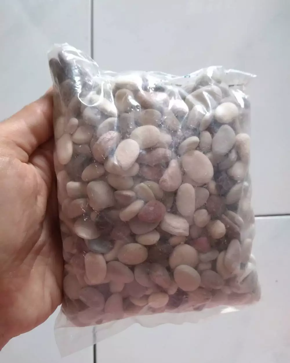 Media tanam hidroponik organik dan anorganik Intagram ; freepik © 2021 brilio.net Media tanam hidroponik organik dan anorganik Intagram ; freepik © 2021 brilio.net