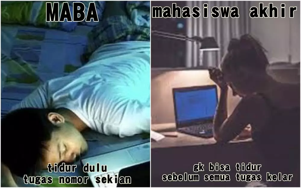Meme beda mahasiswa akhir dan maba Berbagai sumber Meme beda mahasiswa akhir dan maba Berbagai sumber