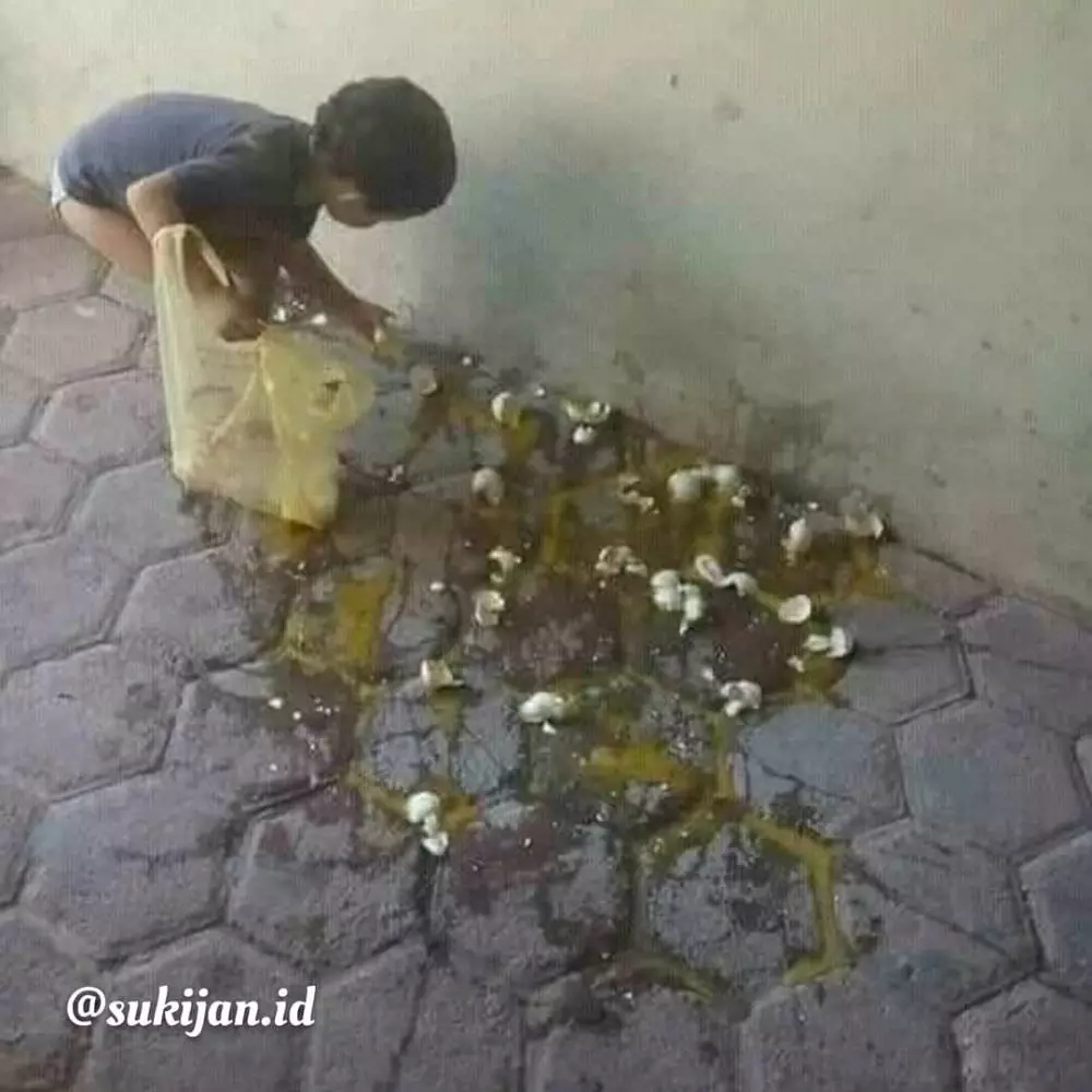 momen percuma bikin jengkel © Instagram momen percuma bikin jengkel © Instagram