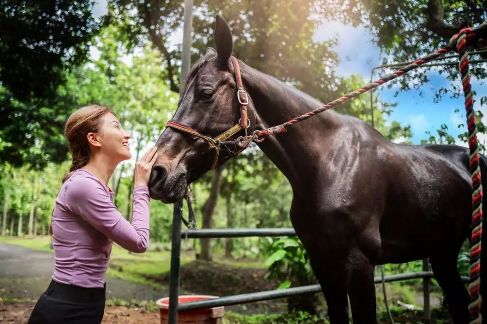 sarwendah pose bareng kuda © Instagram