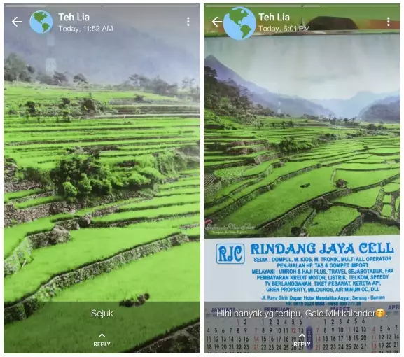 status WA endingnya bikin nyengir © Twitter