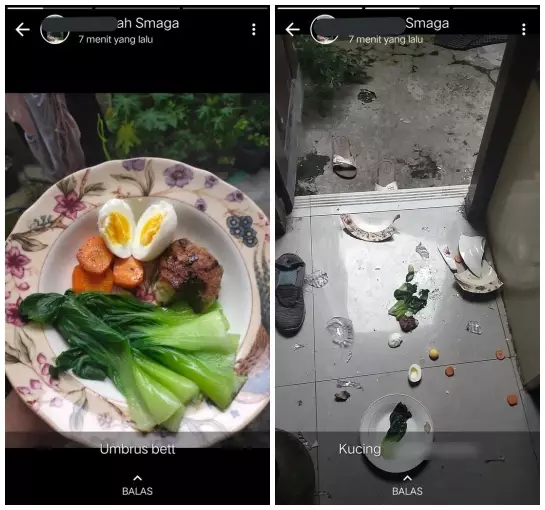 status WA endingnya bikin nyengir © Twitter