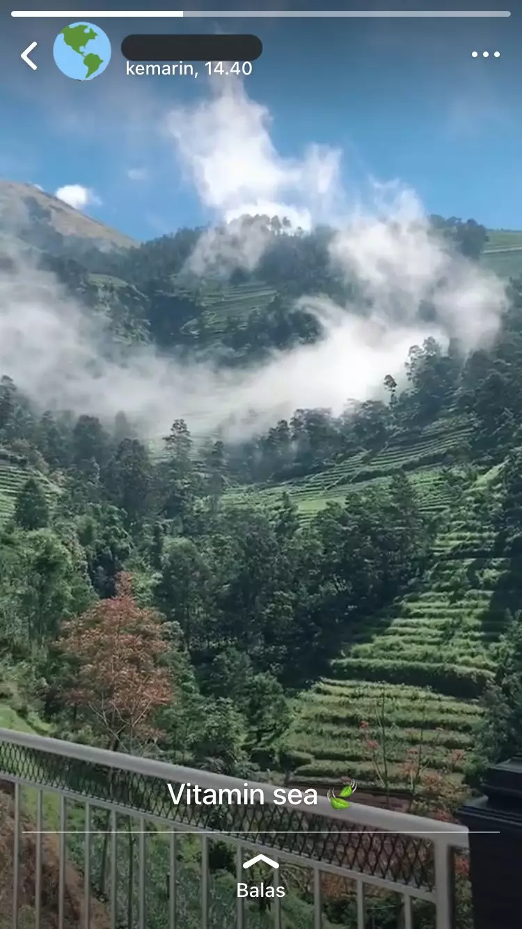 status WA endingnya bikin nyengir © Twitter