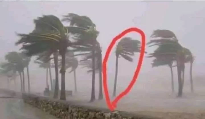 potret janggal bikin ngakak © Instagram