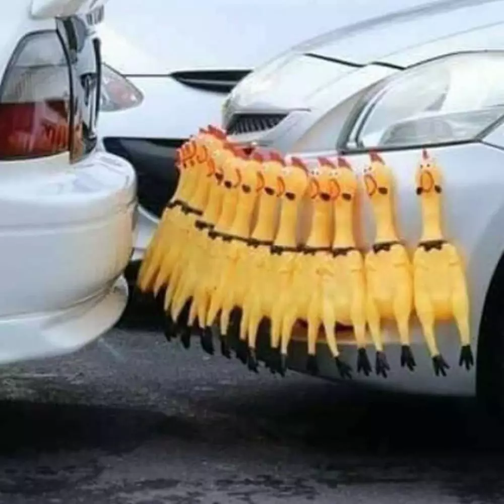 penampakan absurd di tempat parkir © Berbagai Sumber