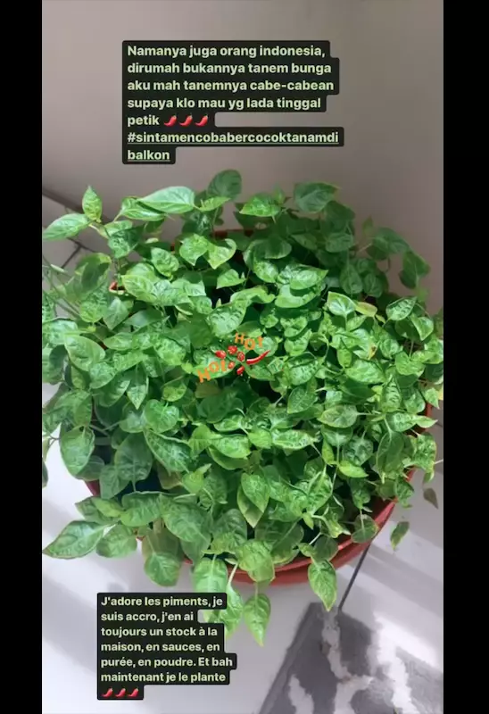 potret keseharian Sinta 'Keong Racun' Instagram