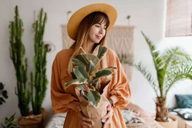 Manfaat tanaman hias gantung freepik © 2021 brilio.net