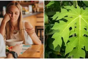 7 Tanaman obat penambah nafsu makan, aman dan mudah didapat